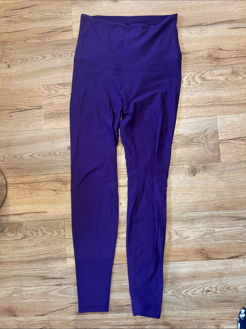 BeWildHer thick cozy tights